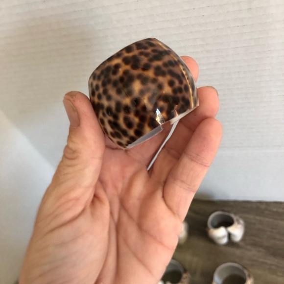 Set of Seven Cowrie Shell Napkin Rings - Picture 8 of 9